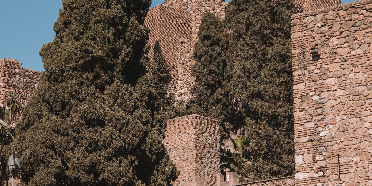 section