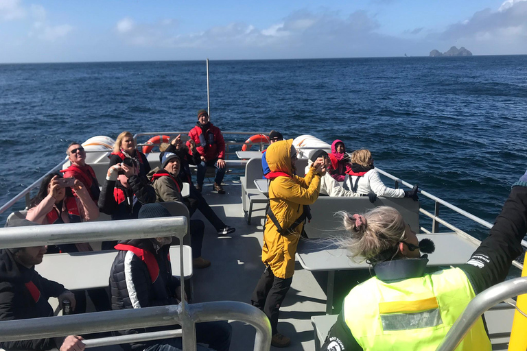Vestmannaeyjar: Heimaey Island Round Boat Tour