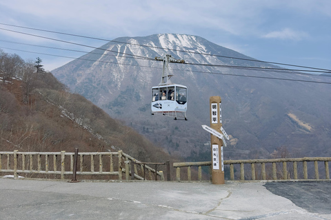 From Tokyo: Nikko World Heritage Private Tour with Guide Nikko World Heritage Full Day share Van tour