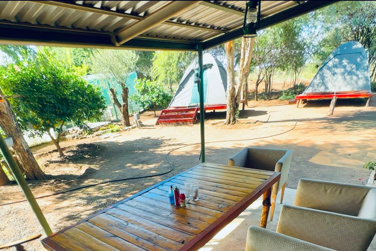 3-tägige Tlou-Zelt-Safari in Pilanesberg3-tägige Tlou-Zelt-Safari im Pilanesberg