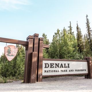 Denali: Denali National Park Walking Tour
