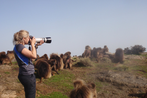 6 Dagen Klimmen naar de hoogste top van Ethiopië Mt.RasdejenTrek 4 dagen naar Mt.Rasdejen de hoogste top van Ethiopië