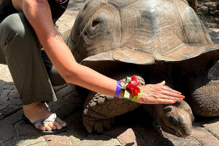 ZANZIBAR: Spice Farm Tour + Lunch & Prison Island Boat Trip