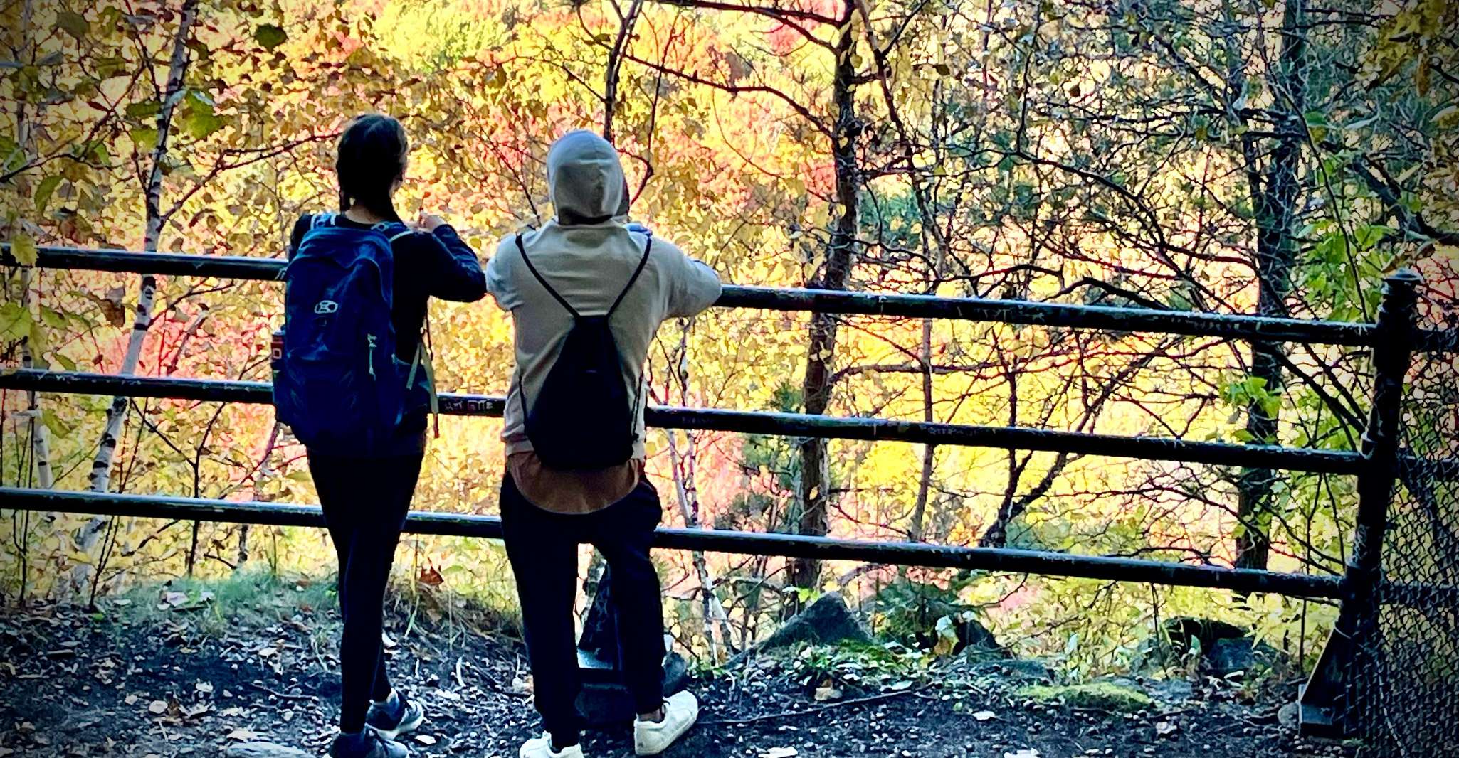 Montreal's Mount Royal Tour photo 7