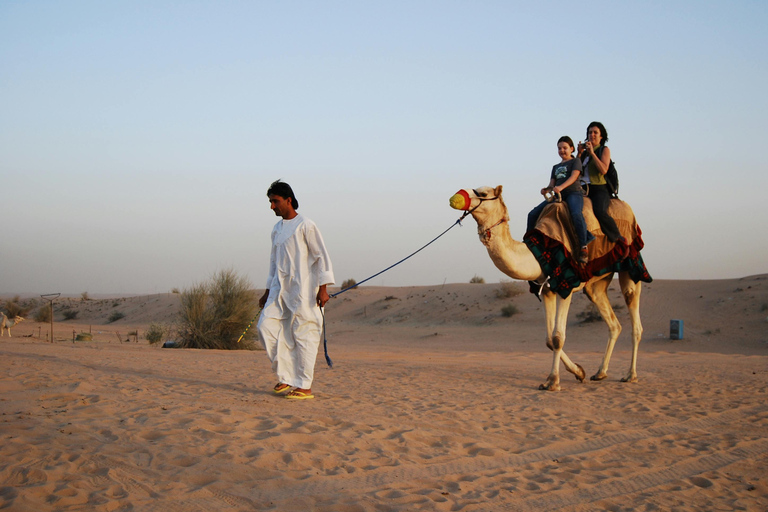 Doha: Safari, Camel Ride, Sand boarding and Inland Sea Tour