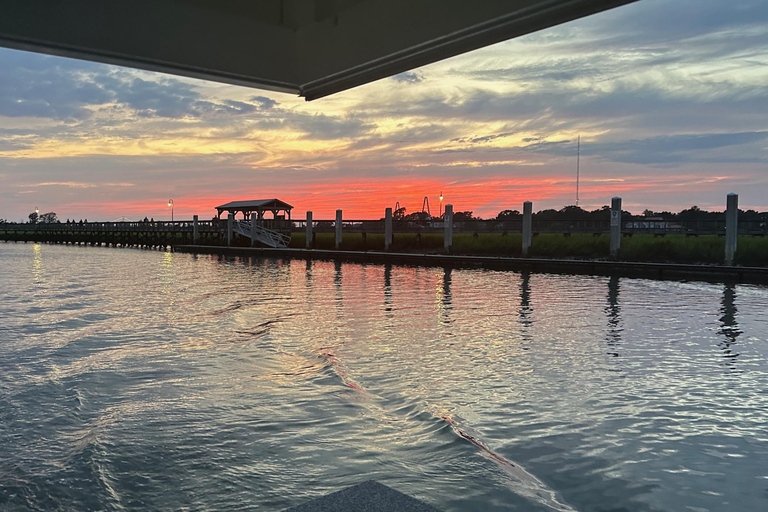 Charleston: Rejs w poszukiwaniu delfinów z Shem Creek