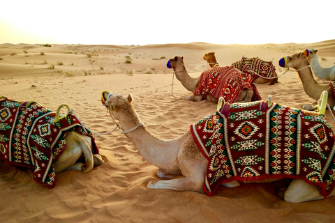 Doha: Desert Safari, ATV/Quad, Camel Ride & Inland Sea Tour Doha: Private Desert Safari with Camel Ride and Dune Bashing