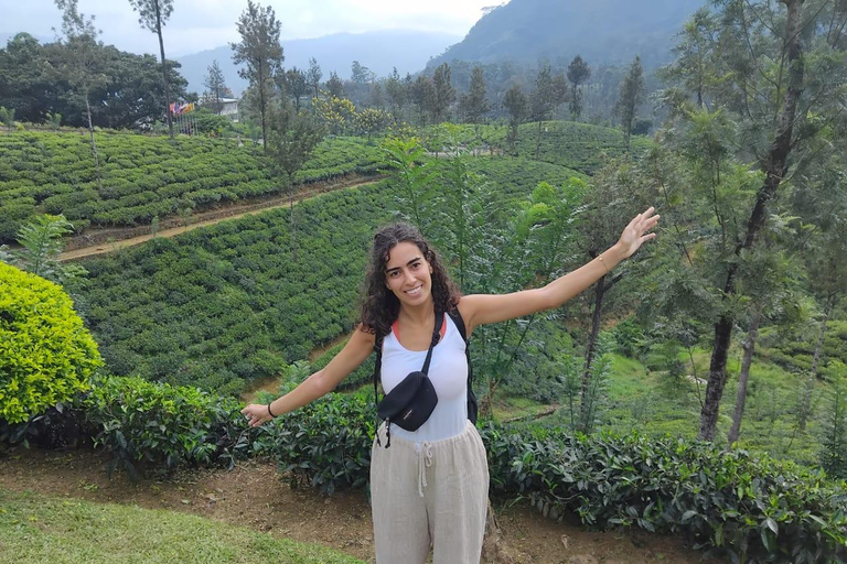 Sri Lanka grand 4-days tour