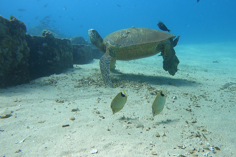 Oahu: Beginner SCUBA duik bij Electric Beach