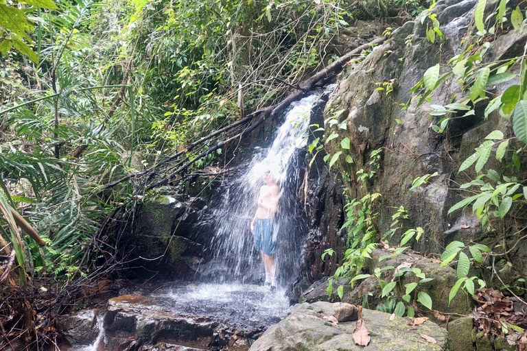 From Phuket: Guided Rainforest Hike with Lunch