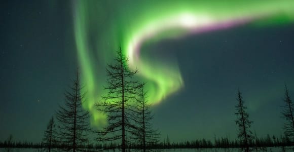 Rovaniemi: Nordlichter-Jäger. Aurora + Barbecue