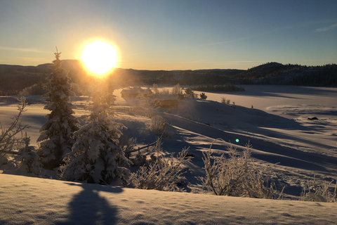 Oslo: Private City Highlights Tour by Car