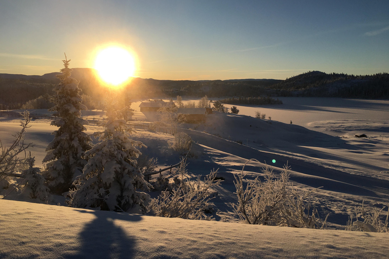 Oslo: Private City Highlights Tour by Car