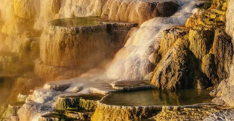 Jackson 2 Day Yellowstone National Park Tour with Lunches GetYourGuide