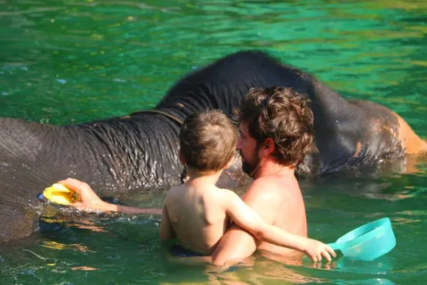 Khao Lak: Rafting, Elephant Bathing & Sea Turtle Center Tour