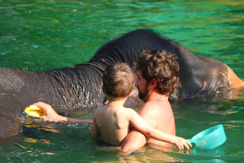 Khao Lak : Rafting, bain d&#039;éléphant et visite du centre des tortues de merVisite privée