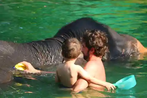 Khao Lak: Rafting, Elephant Bathing & Sea Turtle Center Tour