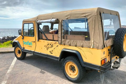 S. Miguel: Snorkeling adventure in Caloura