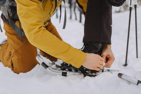 From Oslo: Oslomarka Forest Guided Snowshoeing Tour