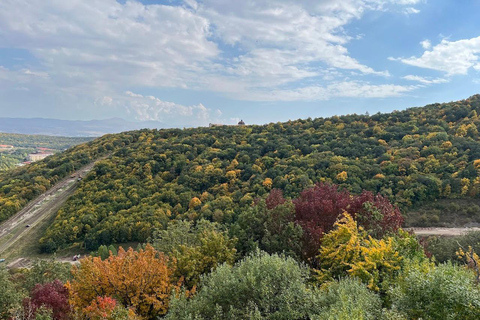 冬季特别之旅：察赫卡佐尔、凯查里斯、阿博维扬和塞凡湖无导游的私人观光