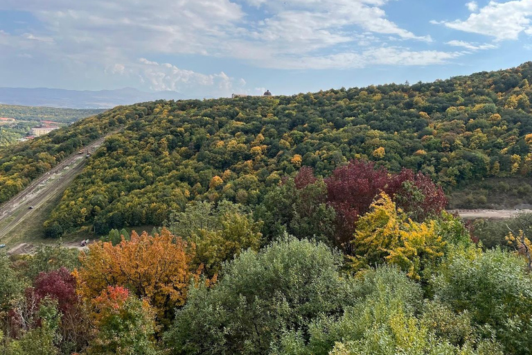 冬季特别之旅：察赫卡佐尔、凯查里斯、阿博维扬和塞凡湖无导游的私人观光