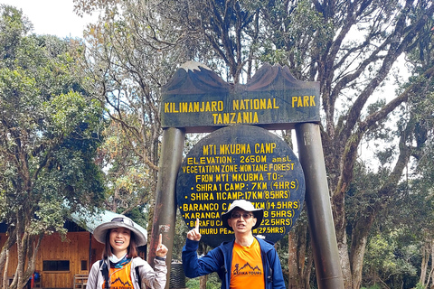 Mount Kilimanjaro: 7 Days Hike Lemosho Route Private Kilimanjaro Climbing 7 Days Lemosho Route