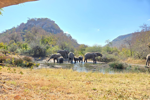 From Maputo to the Wild: Half-Day Kruger Safari