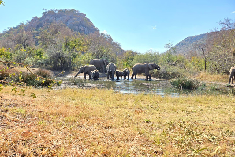 From Maputo to the Wild: Half-Day Kruger Safari