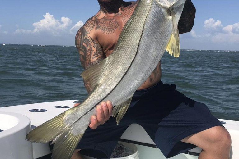 Classificado em 1.º lugar - Charter de pesca costeira em águas calmas com duração de 4 horasClassificado como nº 1 - 4 horas de pesca costeira em águas calmas