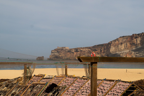 Nazaré: Walking Tour with Funicular & Local Guide