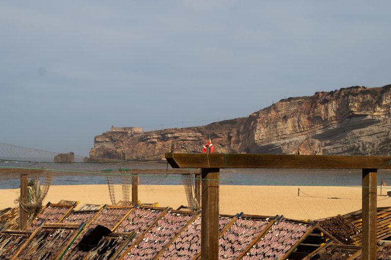 Nazaré: Walking Tour with Funicular & Local Guide