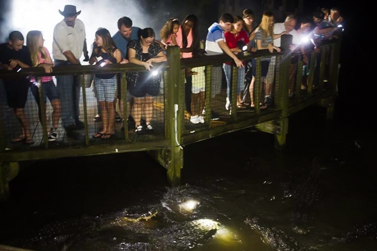 Orlando: Gatorland Taschenlampentour bei Nacht