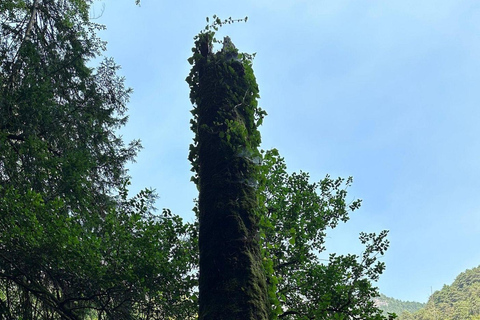 From Thessaloniki: Mount Olympus Private Hike