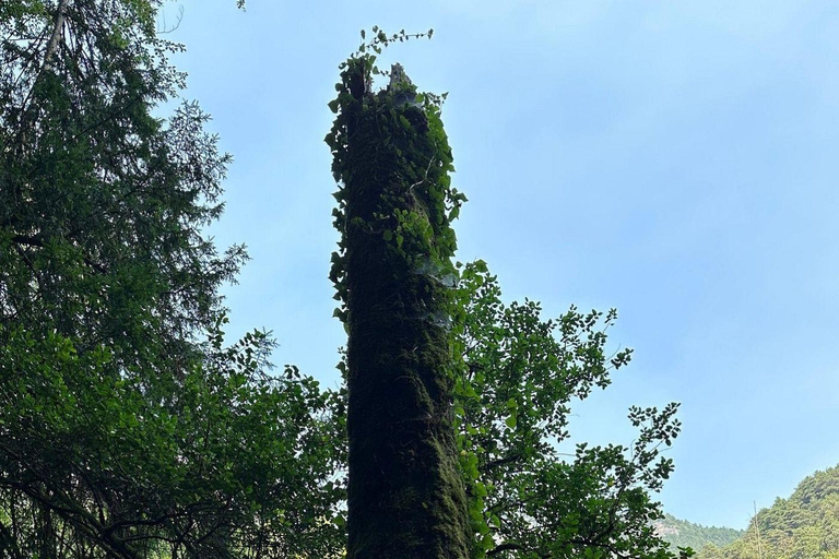 From Thessaloniki: Mount Olympus Private Hike