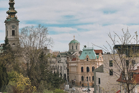 Belgrade: Private SUV City Tour - Fortress, St. Sava & Zemun