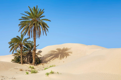 Excursion dans le sud de la Tunisie avec village troglodyte de Star Wars et déjeuner