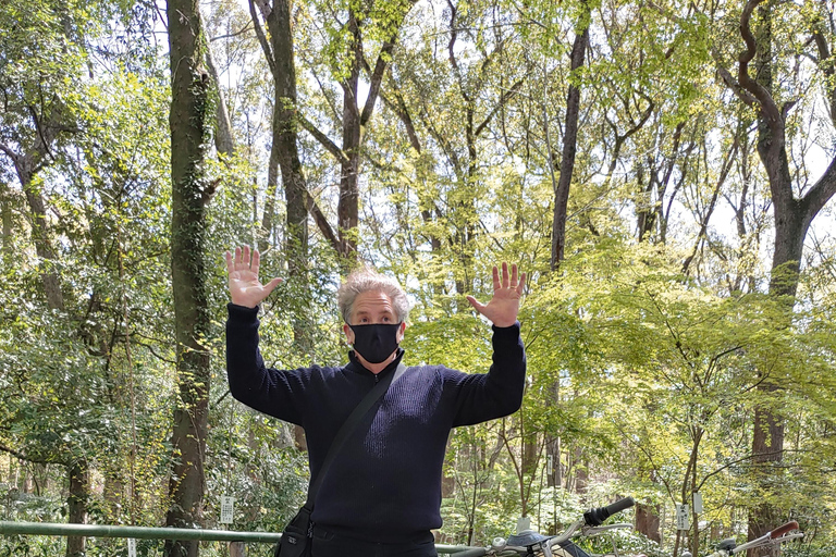 Kioto:Recorrido en Bicicleta por los Tres Jardines