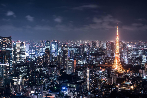 HND Airport Private Transfer to/from Tokyo City Center Arrival: HND Airport to Hotel in Tokyo City Center