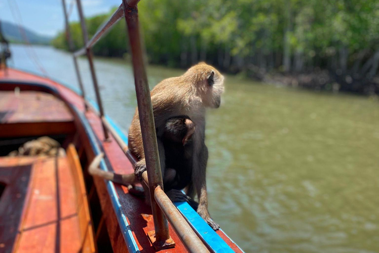 Krabi: Unieke privévaart met tijgergrot tempel &amp; cafés