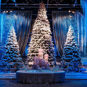 London: Warner Bros. Studio Harry Potter Tour mit Transfers