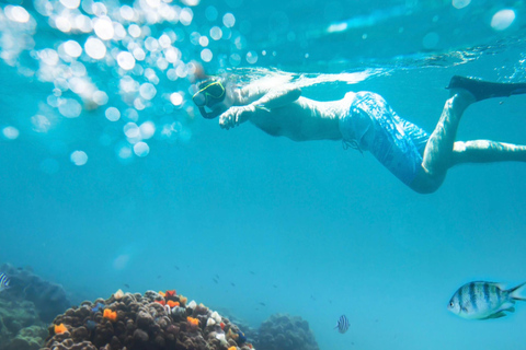 Krabi: Small Group Yawasam and Talu Islands Snorkeling Tour