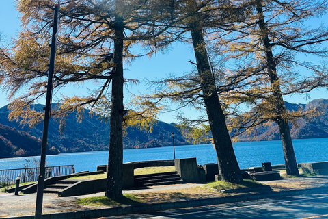 From Tokyo: Nikko World Heritage Private Tour with Guide Nikko World Heritage Full Day share Van tour