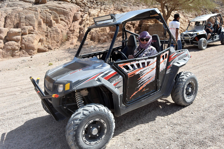 Sharm El Sheikh: Desert Safari By Polaris Buggy &Family Tour