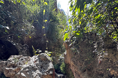 Valence : excursion d&#039;une journée à la découverte des cascades, des sources et des grottes.