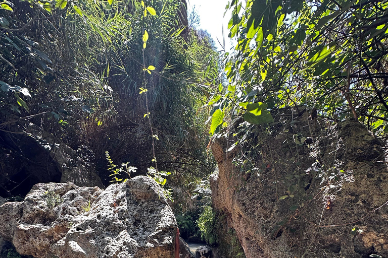 Valencia: day trip exploring waterfalls, springs and caves.