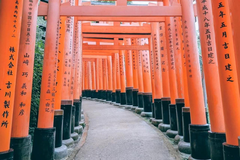 Kyoto and Nara: private tour with English speaking driver