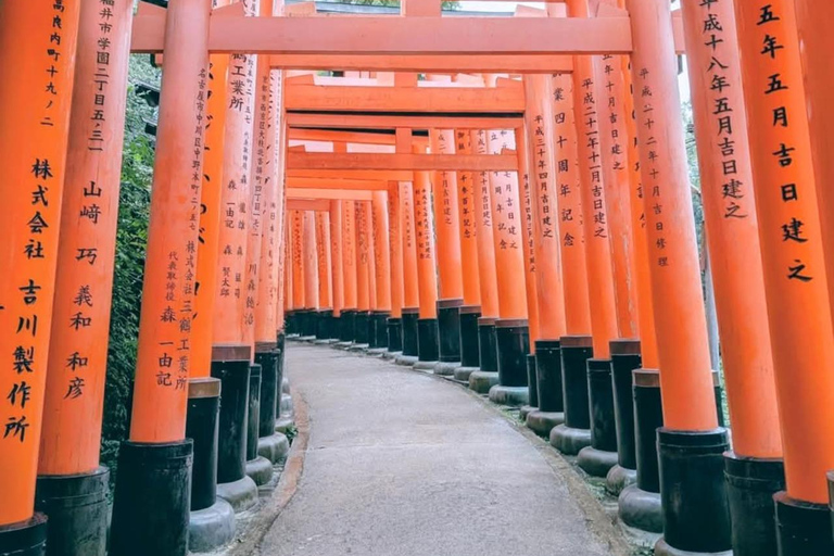 Kyoto and Nara: private tour with English speaking driver