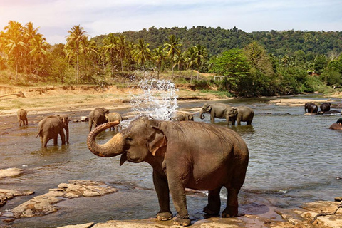 Sri Lanka: 3-Day Cultural Triangle 5 UNESCO Heritage Tour