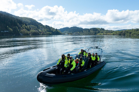 Bergen: Modalen RIB Fjord Safari with Lunch & Transfer
