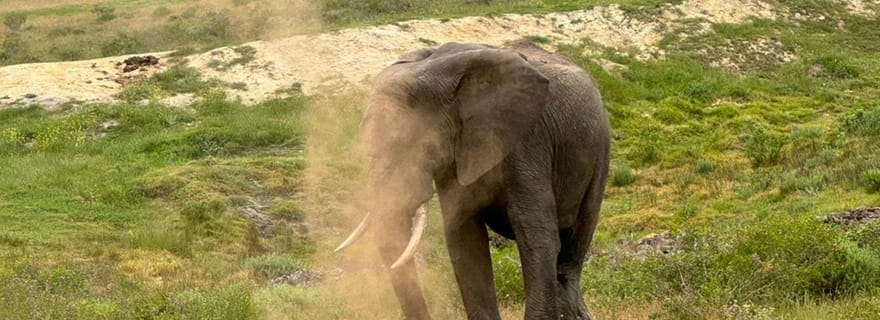 Au départ du Cap : safari de 2 jours sur la Garden Route